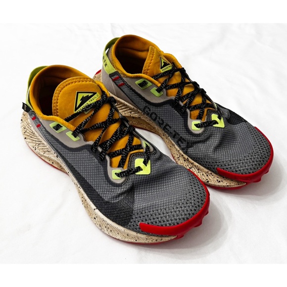 Nike Shoes - Nike Pegasus Trail 2 Gore-Tex Smoke Grey Bucktan - 9